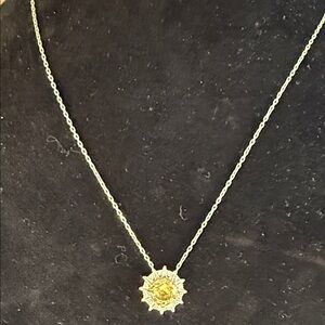 Stainless steel Radiant Sunburst Pendant Necklace in 20”